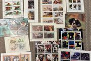 Sheets X 15 Animals