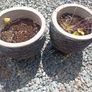 stone flower pot Image 3
