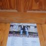 Andy Irvine - Rainy Sundays... Windy Dreams - LP - Irish Music - Tara Records - 1980 Image 2