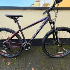 Bicycle Carrera