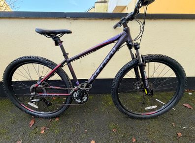 Bicycle Carrera