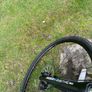 Hybrid Bike Carrera Image 8
