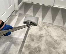 Cleaning Professional Carpet & Upholstery Cleaning - 10% OFF