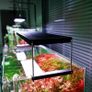 Chihiros WRGB SLIM 60 II - (60-80cm) With Bluetooth Controler Image 3