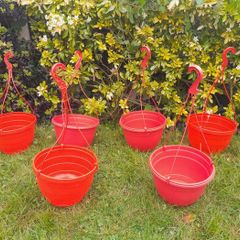 6 x Strawberry tomato hanging planters