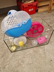hamster aquarium with all the equipment