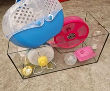 hamster aquarium with all the equipment