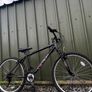 Bikes Image 6