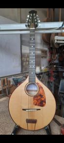 Handmade octave mandolin