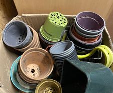 Pot