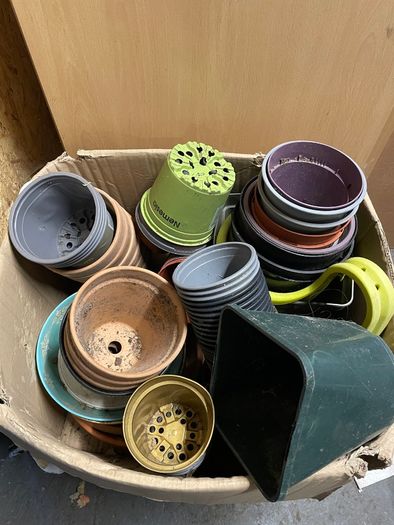 Pot