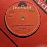 Bagatelle 7" (Irish) - Trump Card Image 2