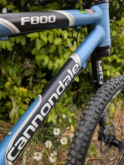 Cannondale F800 Lefty - rare retro