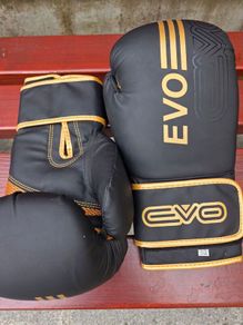 Boxing Gloves and Pads Set