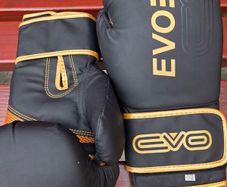 Boxing Gloves and Pads Set