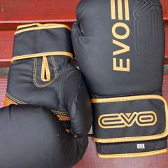 Boxing Gloves and Pads Set