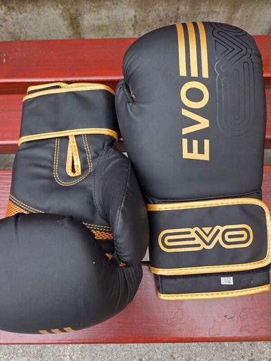 Boxing Gloves and Pads Set