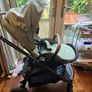 Joie Versatrax Buggy Image 2