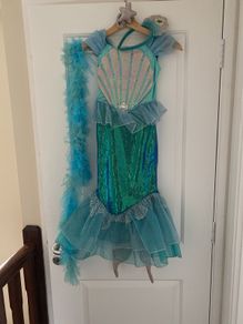 Mermaid costume