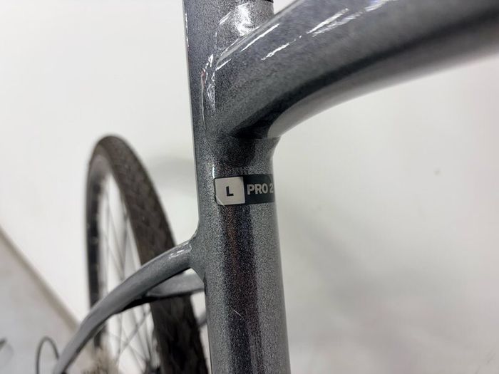 Giant Fastroad E+2 Electric Bike
