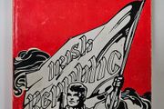 The Revolutionaries - Sean Cronin - Irish History Book