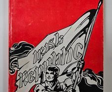 The Revolutionaries - Sean Cronin - Irish History Book