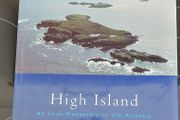 High Island, Extensive remains of early medieval monasticism.