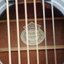 WASHBURN D10 CE Semi-Acoustic Guitar Image 2