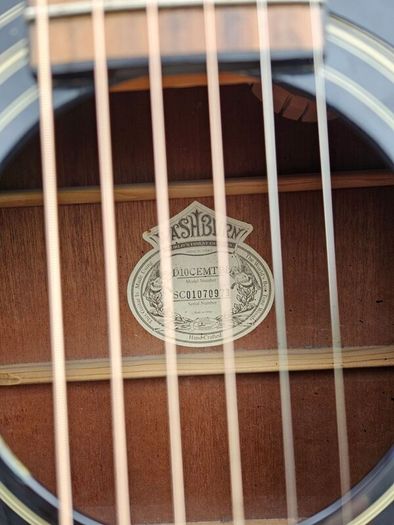 WASHBURN D10 CE Semi-Acoustic Guitar