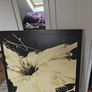 big canvas Image 3