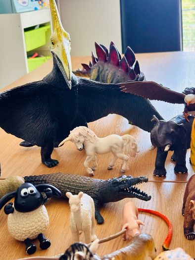 Animals