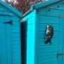 shed Image 2