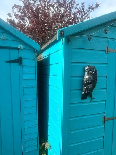 shed