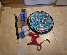 Dog Accessories