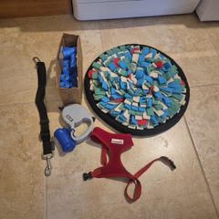 Dog Accessories