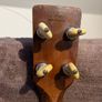 1930's Tenor Guitar in Superior Instrumental Case Image 7