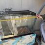 fish tank Image 5