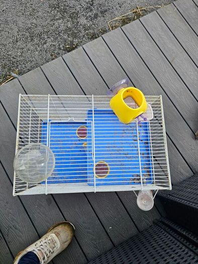 hamster cage