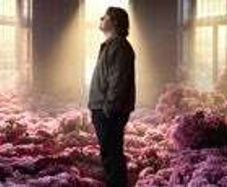 Lewis Capaldi - Thomond - 2x Front Standing