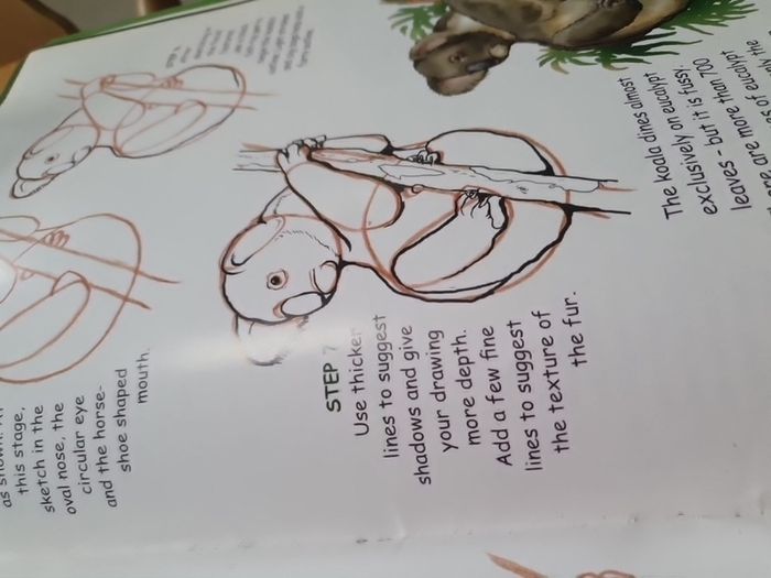 How to Draw Australian Wildlife In Very Good Condition From Pet Smoke Free Home Lots Of Books Listed For 1 2 3 Euro