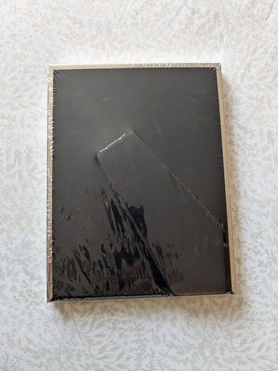 BNWT Silver Frame