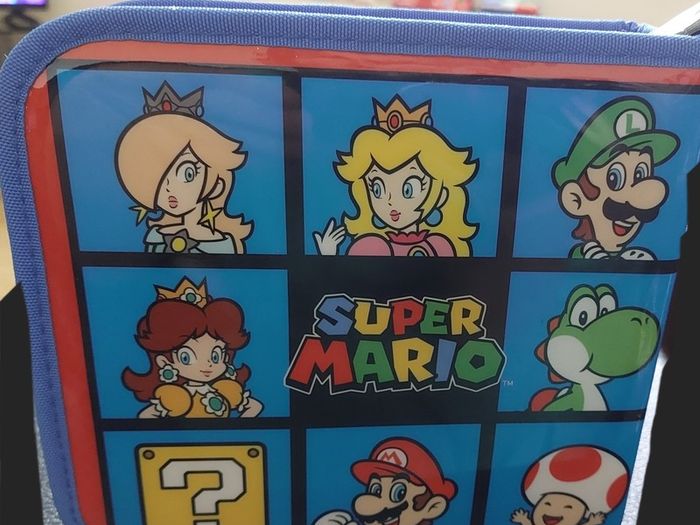 Nintendo Ds Storage case (Dc)(499)  1