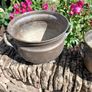 Antique Brass Pots Image 3