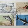 Ireland 1982 FISH Fauna & Flora FDC Envelope 4 x EIRE Irish Stamps Full Set Image 2