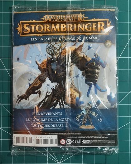 Warhammer Age of Sigmar Stormbringer 49 Spite Revenants