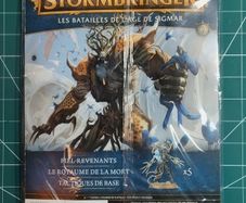 Warhammer Age of Sigmar Stormbringer 49 Spite Revenants