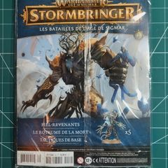 Warhammer Age of Sigmar Stormbringer 49 Spite Revenants