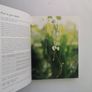The Virgin Gardener by Laetitia Maklouf Image 4