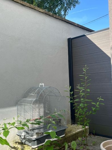 Large bird cage