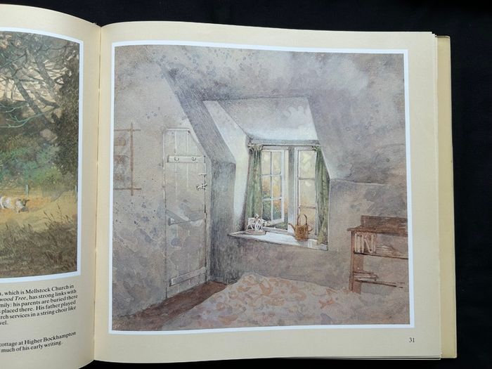 Collectible books